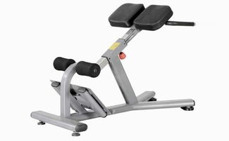 山东室内运动器材产业发展概览 优质制造商与市场趋势分析