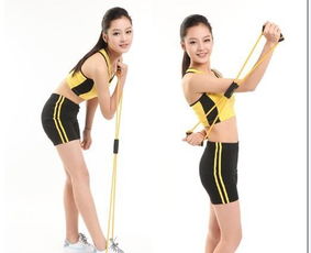 易威斯堡塑胸拉力器 价格、厂家与选购指南