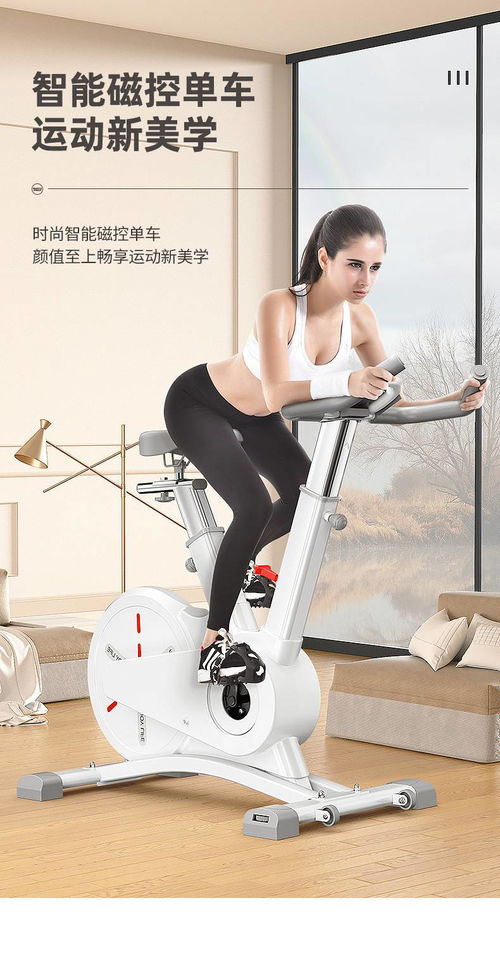 汤河店 家用磁控动感单车app智能室内健身车多档变速运动器材
