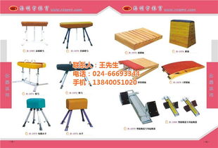 运动器材厂 丰和信息技术中心 在线咨询 沈阳运动器材