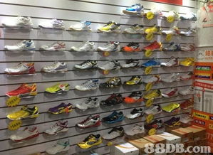 2020最新201个运动用品价格及商户联络资讯